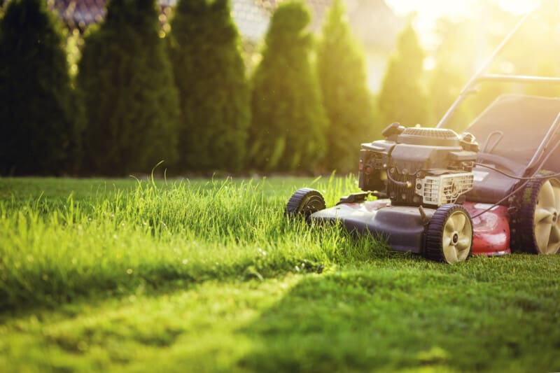 Rasenmaeher Auf Rasen Im Gegenlicht Adobe Stock 263052703