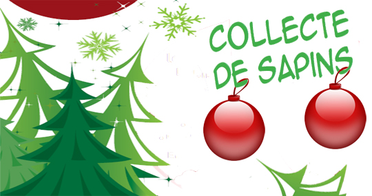 Collecte Des Sapins