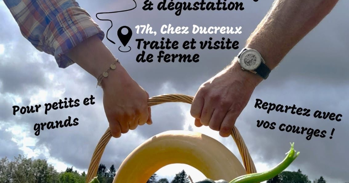 Fête de la Courge